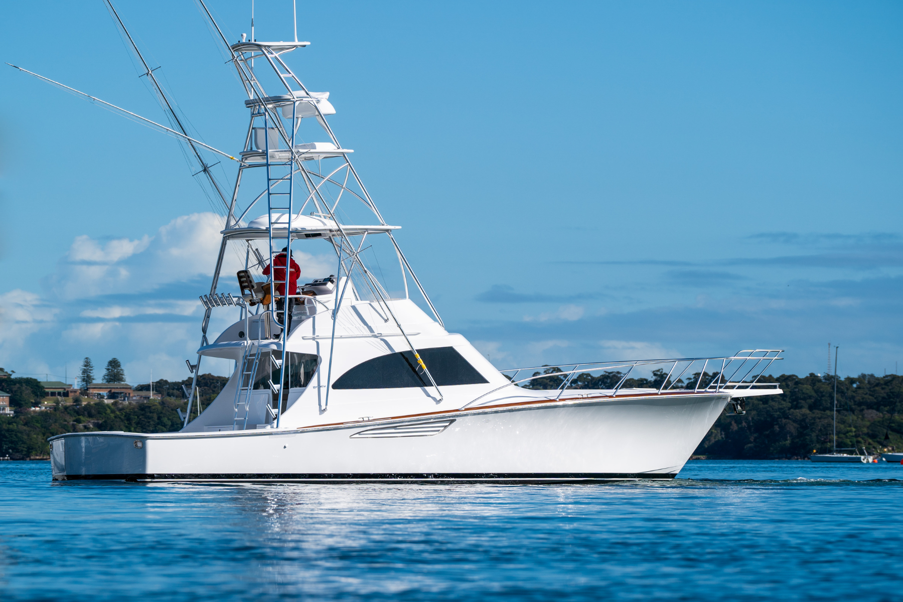 Billfish