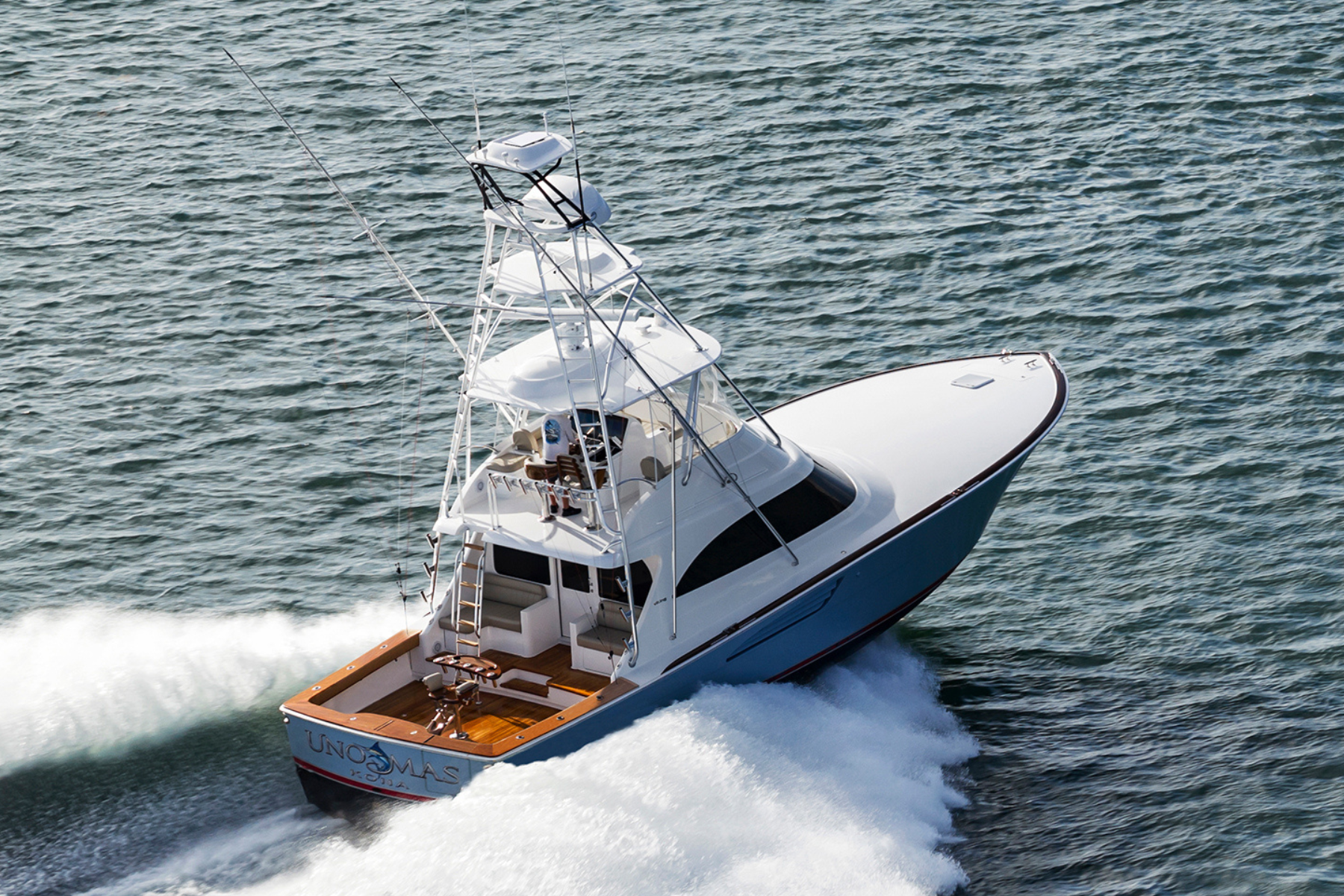 50 Billfish